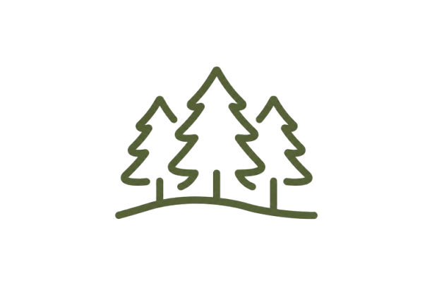 icone_sapins
